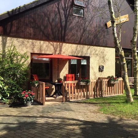 Bed and Breakfast De Vier Berken 2 De Koog  Zewnętrze zdjęcie